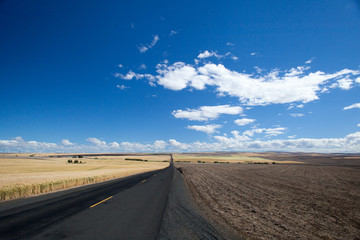 Fototapeta premium Weat Montana