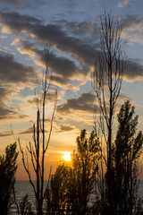 Fototapeta na wymiar Bright sunset over blue lake, silhouetted trees