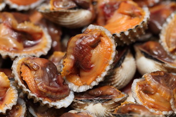 close-up on blanched cockles