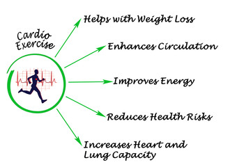  Cardio Exercise