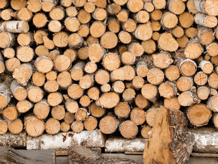 A pile of birch logs stored on top of each other.