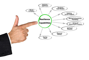 Resilience Capabilities