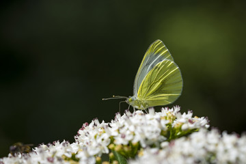 Natur, Freizeit, Erleben