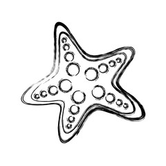 sea star icon