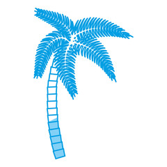 tropical palm icon