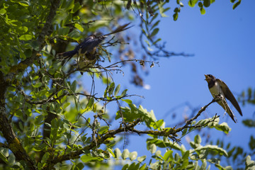 Natur, Freizeit, Erleben