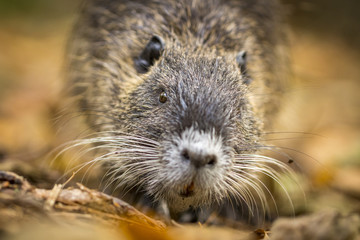 Natur, Freizeit, Erleben