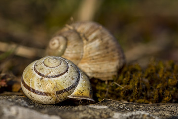 Natur, Freizeit, Erleben