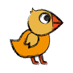 chicken bird icon