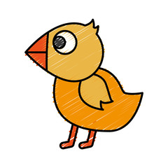 chicken bird icon