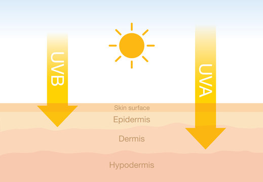 The difference of radiation 2 types in sunlight which is harmful to the skin.Illustration about UVA penetrate deep than UVB.
