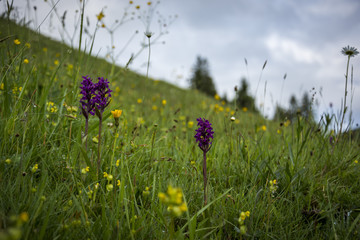 Natur, Wandern, Erleben, Urlaub, Freizeit