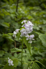 Natur, Wandern, Erleben, Urlaub, Freizeit