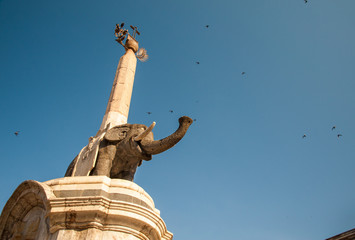 Landmarks of Catania, Sicily: bottom view of the famous lava stone statue of an elephant and its obelisk in the main square