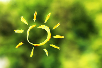 Picture of the sun on the glass, positive and joy