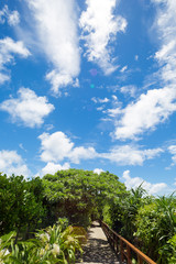Obraz premium 沖縄 風景