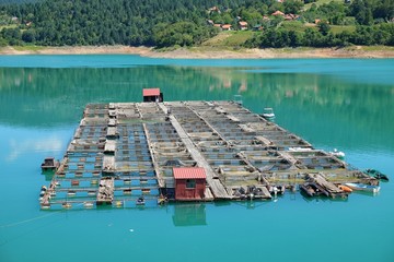 Fototapeta na wymiar Fishery, Serbia