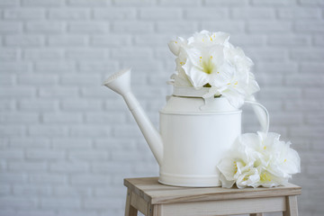 Watering can with flowers on a white background