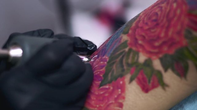 Tattoo artist drawing roses