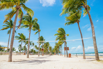 Tropical beach with palm trees, blue sky and white sand.