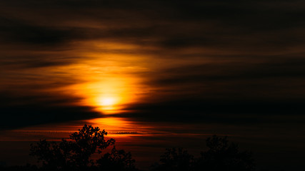 Fototapeta na wymiar Panoramic view of african sunset in orange sky and tree silhouette