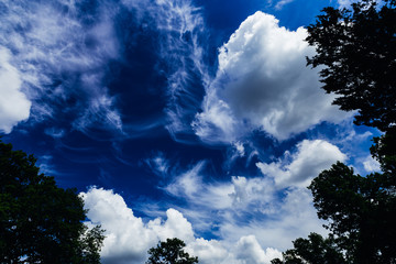 Plakat Dramatic saturated blue sky full of white clouds