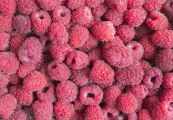 Natural raspberry. Image for background.