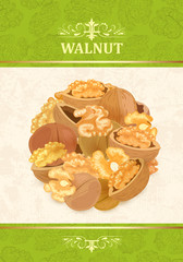 fine poster with delicious walnuts for your design