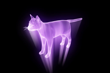 Cat in Hologram Wireframe Style. Nice 3D Rendering
- 162807360