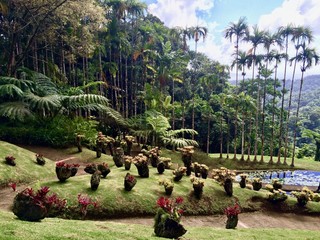Beautiful exotic botanical garden with tropical palms, blooming cactus, trail / path, pond & blue...