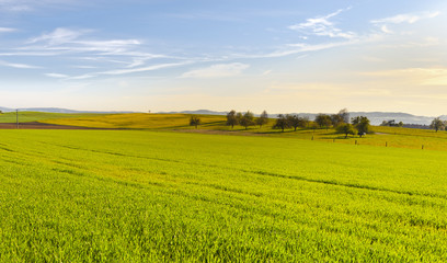Fototapeta premium Swiss landscape with meadows