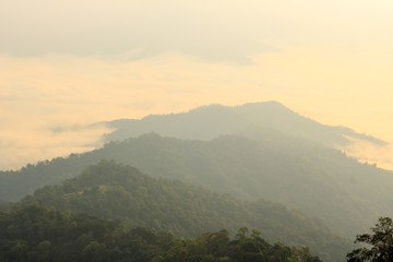 Morning fog in the mountains