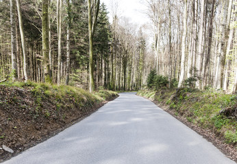 Fototapeta na wymiar Forest road in Switzerland