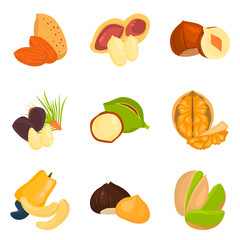 Set of color flat nuts icons set for web and mobile design
