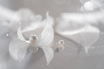 Transparent sheets with pearls . Skeleton leaves on a glass table with reflection. Transparent sheets of white.