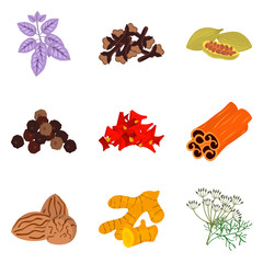 Set of color flat spices icons set for web and mobile design