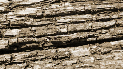 Wood texture with old paint brown