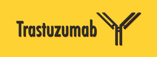 Trastuzumab monoclonal antibody drug. Targets the human epidermal growth factor receptor 2 (HER2) and is used in the treatment of breast cancer.