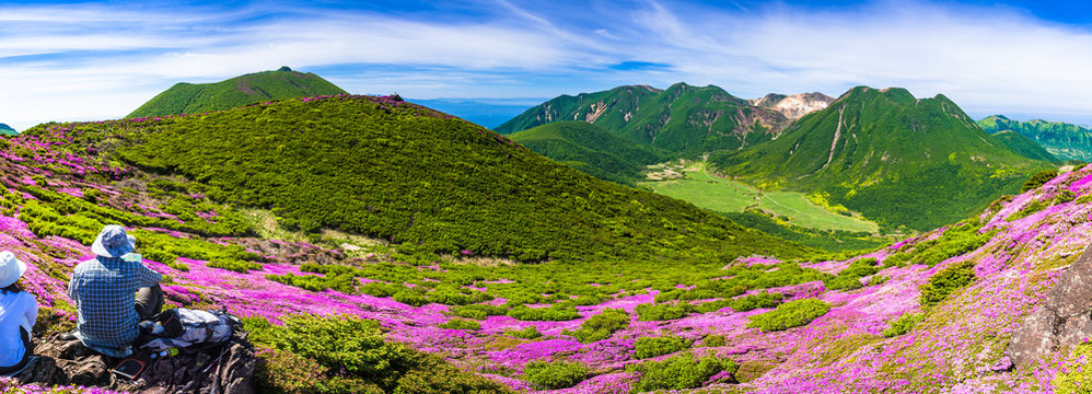 天空の花畑 の画像 47 592 件の Stock 写真 ベクターおよびビデオ Adobe Stock