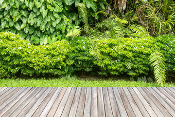 Wooden decking and plant garden decorative.