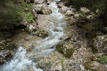 Fast river near forest in Bucegi mountains, Romania