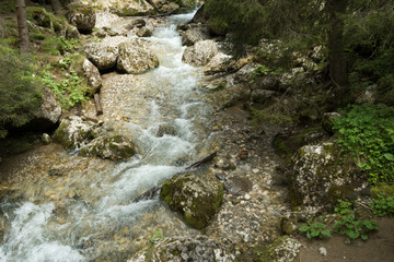 Fast river near forest in Bucegi mountains, Romania