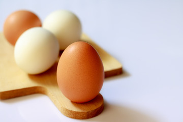 egg