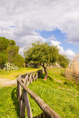 Staccionata di legno nel parco