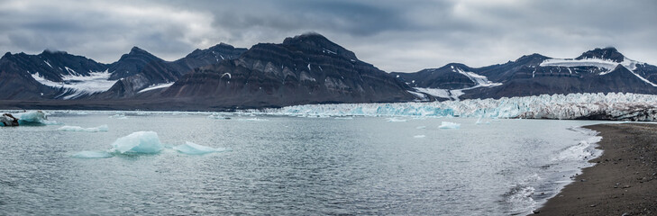 Small icebergs in front of a glacier