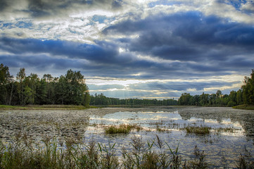 Wild rural overgrown pond in reed with blue sky reflection on still water surface