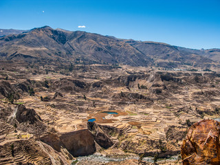 Incan terraced fields in Colca Valley
