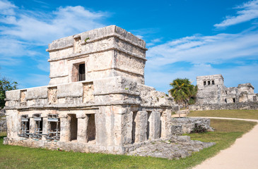 Fototapeta na wymiar Archeology and nature of the Yukatan peninsula