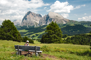 Dolomiti - alpe di Siusi - gruppo del Sassolungo - Italy