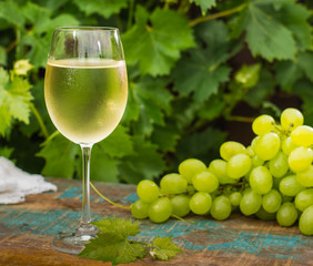 Wine glass with ice cold white wine, outdoor terrace, wine tasting in sunny day, green vineyard garden background